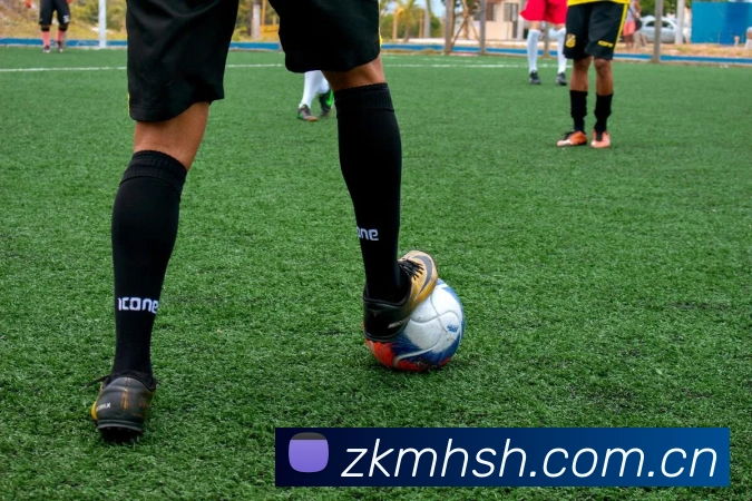 开云官网平台生态图