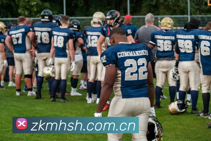 开云官网APP 封面图